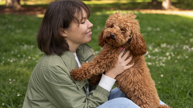 Rodinné příběhy: Pět let náš pes prožíval muka pokaždé, když jsem odjela. Letos na to konečně vyzrál