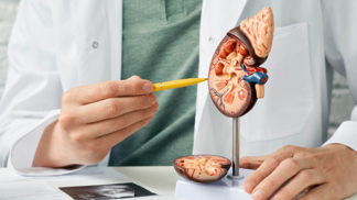 Každý desátý Čech má problém s ledvinami. Klíčem je včasná prevence