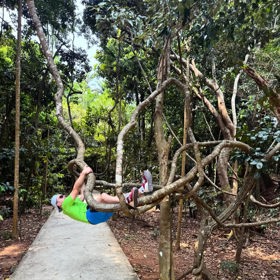 Tomáš Pekara se v asijské džungli pořádně odvázal.
