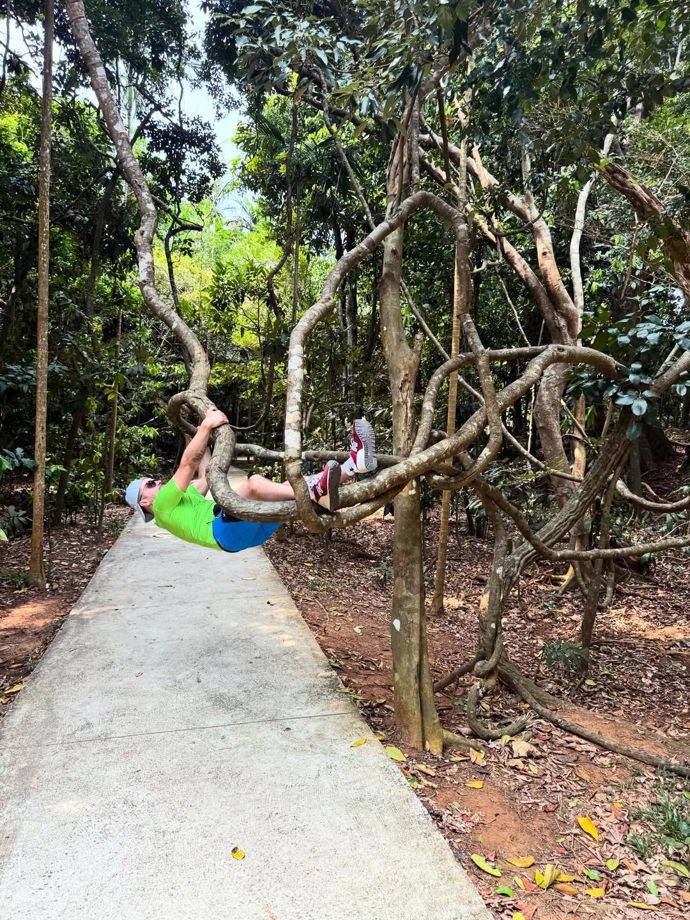 Tomáš Pekara se v asijské džungli pořádně odvázal.