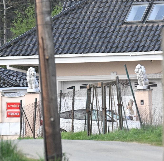 Lela Ceterová a Karlos Vémola spolu vychází.