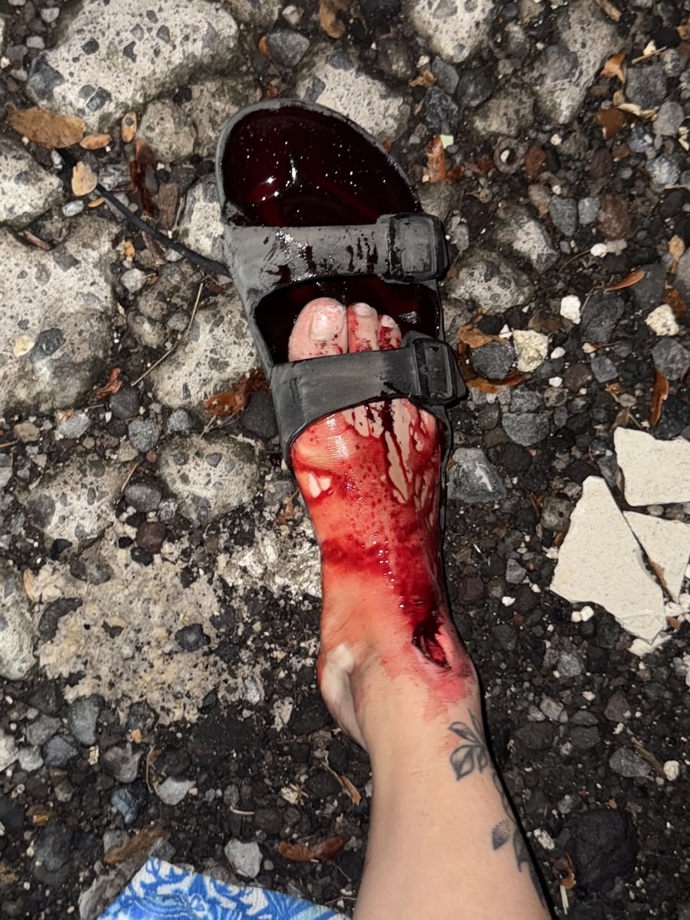 Následky nehody Paulíny Boškové.