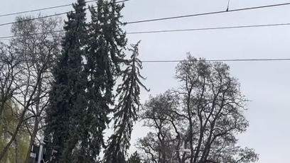 FOTO: Auto zůstalo uvězněné na kolejnici poté, co se sklopily závory.