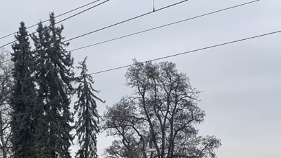 FOTO: Auto zůstalo uvězněné na kolejnici poté, co se sklopily závory.