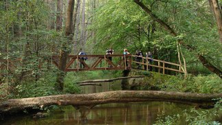 V nejromantičtější části trasy se cesta mění v dřevěnou lávku, která se klikatí mezi vlhkými břehy a pískovcovými stěnami. Voda zurčí pod vámi a příroda si tu bere zpět každý centimetr. Chůze po těchto lávkách má své kouzlo, ale vyžaduje pevnou obuv.
