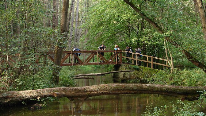 V nejromantičtější části trasy se cesta mění v dřevěnou lávku, která se klikatí mezi vlhkými břehy a pískovcovými stěnami. Voda zurčí pod vámi a příroda si tu bere zpět každý centimetr. Chůze po těchto lávkách má své kouzlo, ale vyžaduje pevnou obuv.
