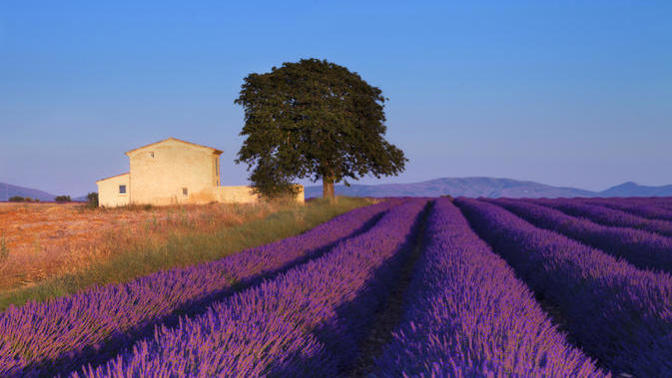 5 důvodů, proč navštívit Provence: kraj Brigitte Bardot a Paula Cézanna