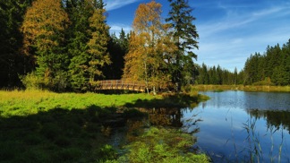 Slavkovský les