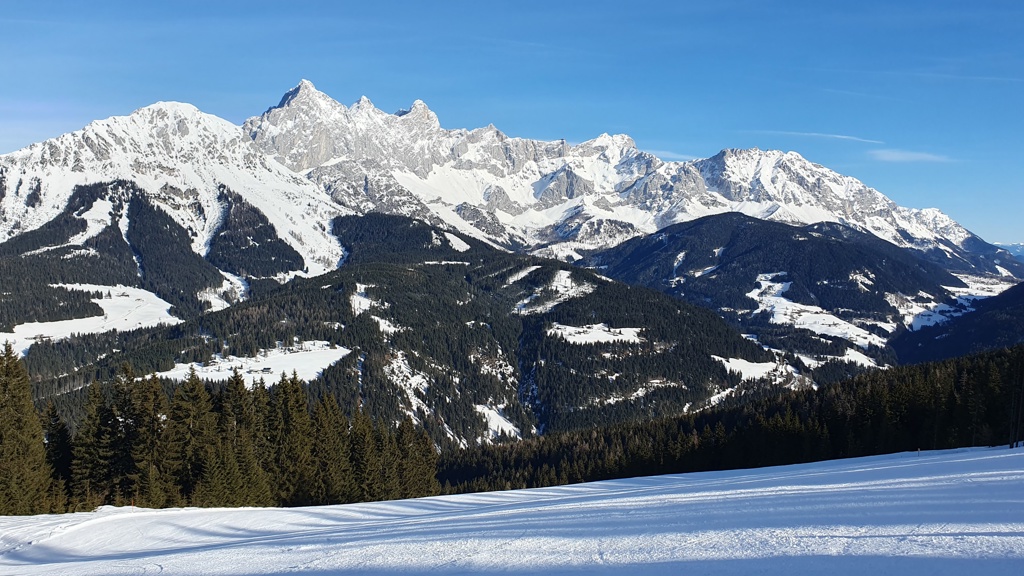 Panorama Panorama