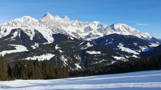 Panorama Panorama