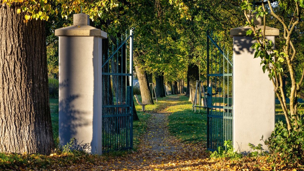 Alej roku 2025 zná svého vítěze: Oblíbený kout Česka přitahuje návštěvníky