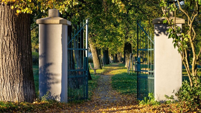 Alej roku 2025 zná svého vítěze: Oblíbený kout Česka přitahuje návštěvníky
