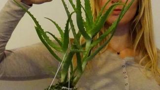 Floristka Lenka Hrubá