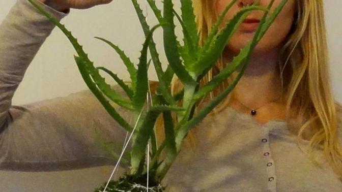 Ženy s podnikatelským duchem IV: floristka Lenka Hrubá