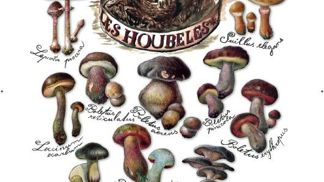 5× potřeby pro houbaře 5× potřeby pro houbaře