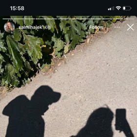 Salma Hájek se pochlubila novou láskou.