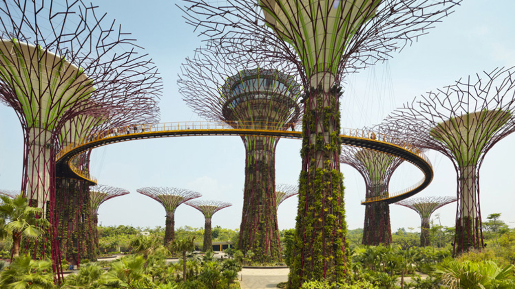 Lákadla Singapuru