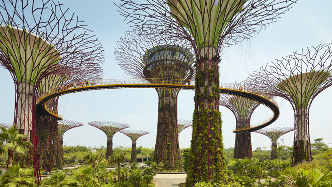 Lákadla Singapuru