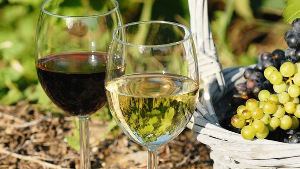 Výlety na vinobraní: Máme 5 skvělých tipů!