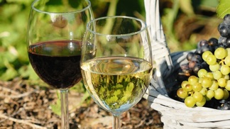 Výlety na vinobraní: Máme 5 skvělých tipů!