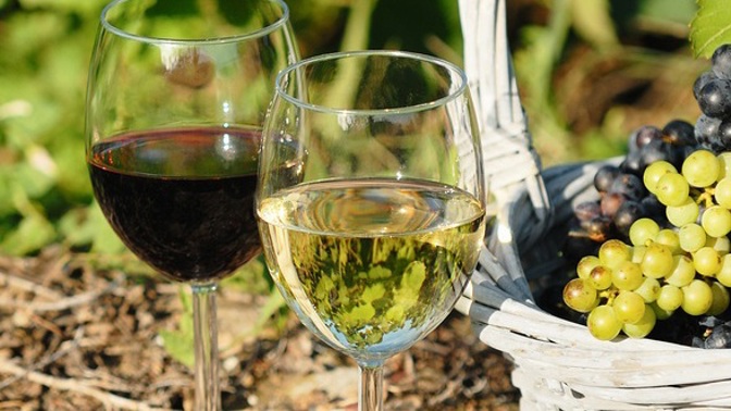 Výlety na vinobraní: Máme 5 skvělých tipů!