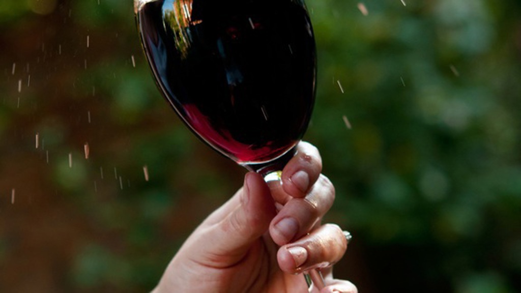 Výlety na vinobraní 2: Máme 11 skvělých tipů!