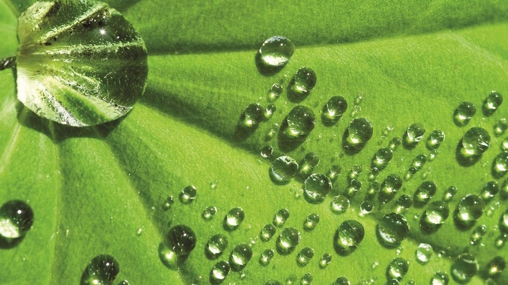 Biostyl jinak: 7 inspirací Biostyl jinak: 7 inspirací