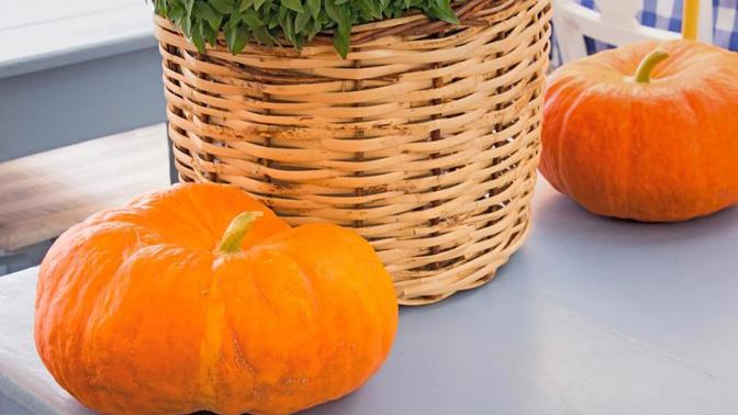 Dýňové hody: Recept na lahůdku sezony! Dýňové hody: Recept na lahůdku sezony!