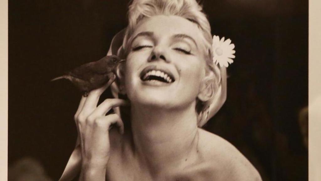 15 nejslavnějších citátů Marilyn Monroe