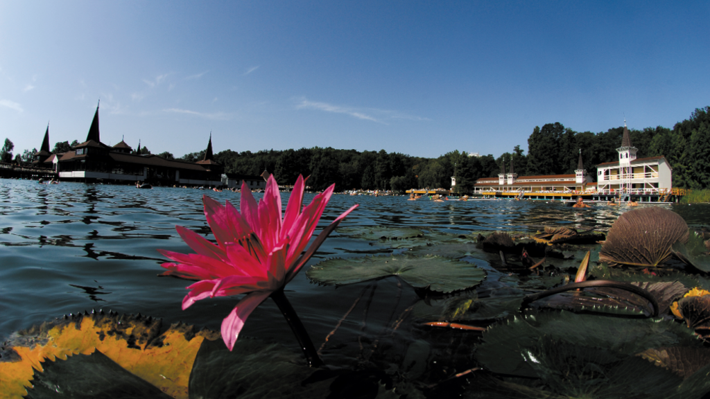Zažijte perfektní relax v prosluněném v Maďarsku! Jezero Hévíz léčí tělo i duši Zažijte perfektní relax v prosluněném v Maďarsku! Jezero Hévíz léčí tělo i duši