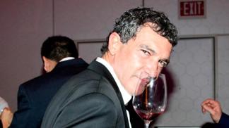 Nejoblíbenější nápoje celebrit: co pije královna Alžběta – a co Antonio Banderas?