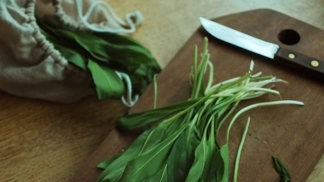 wild garlic