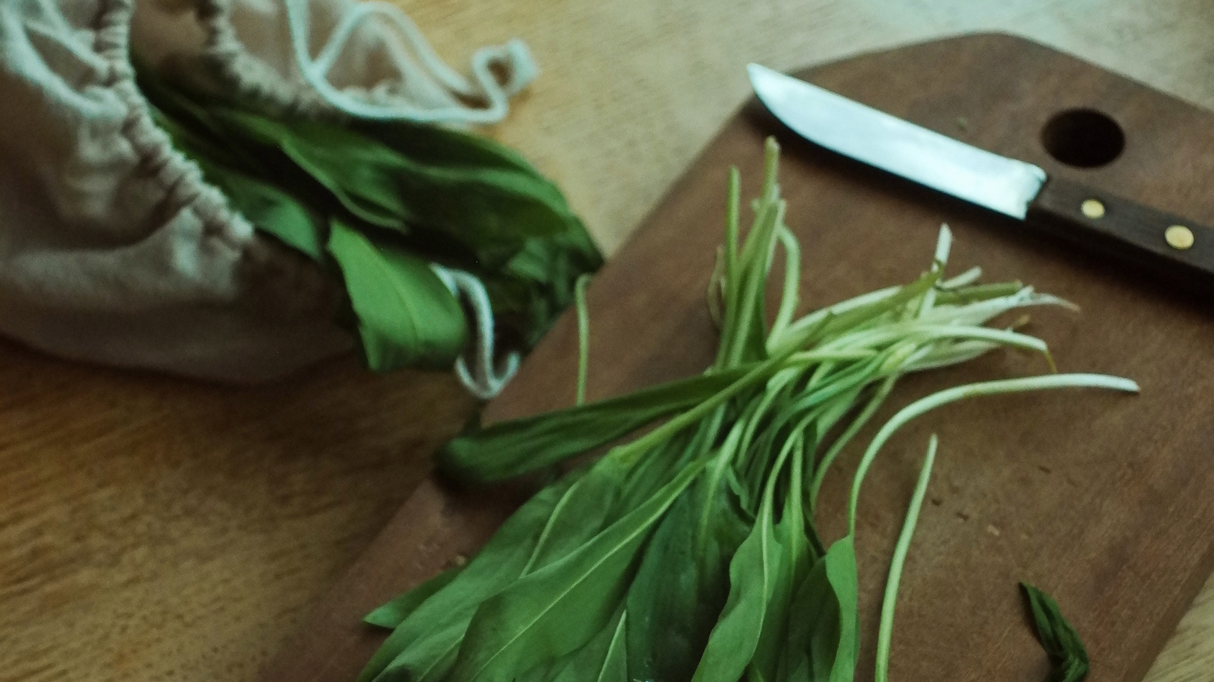 wild garlic