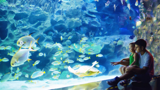 aquarium