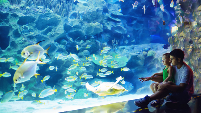 aquarium