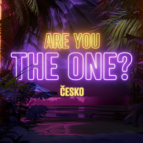 Are you the one? logo.