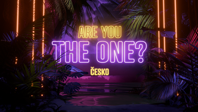 FOTO: Are you the one? logo.