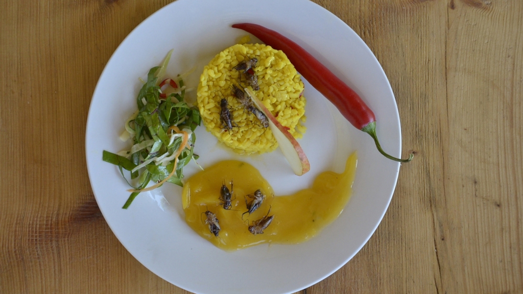 Jakože, cože?! Dnes začíná nejbizarnější food festival!