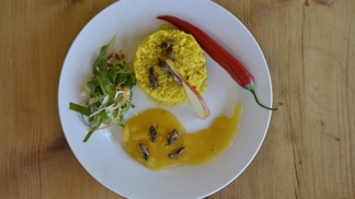 Jakože, cože?! Dnes začíná nejbizarnější food festival! Jakože, cože?! Dnes začíná nejbizarnější food festival!