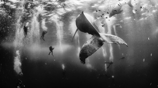 Fotografie, které vám vyrazí dech. Soutěž National Geographic Traveler má vítěze.