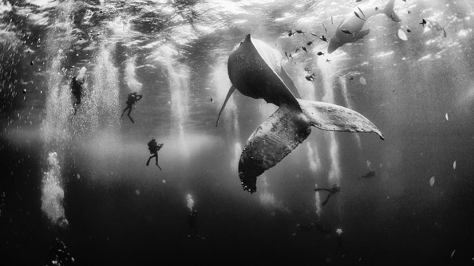 Fotografie, které vám vyrazí dech. Soutěž National Geographic Traveler má vítěze. Fotografie, které vám vyrazí dech. Soutěž National Geographic Traveler má vítěze.