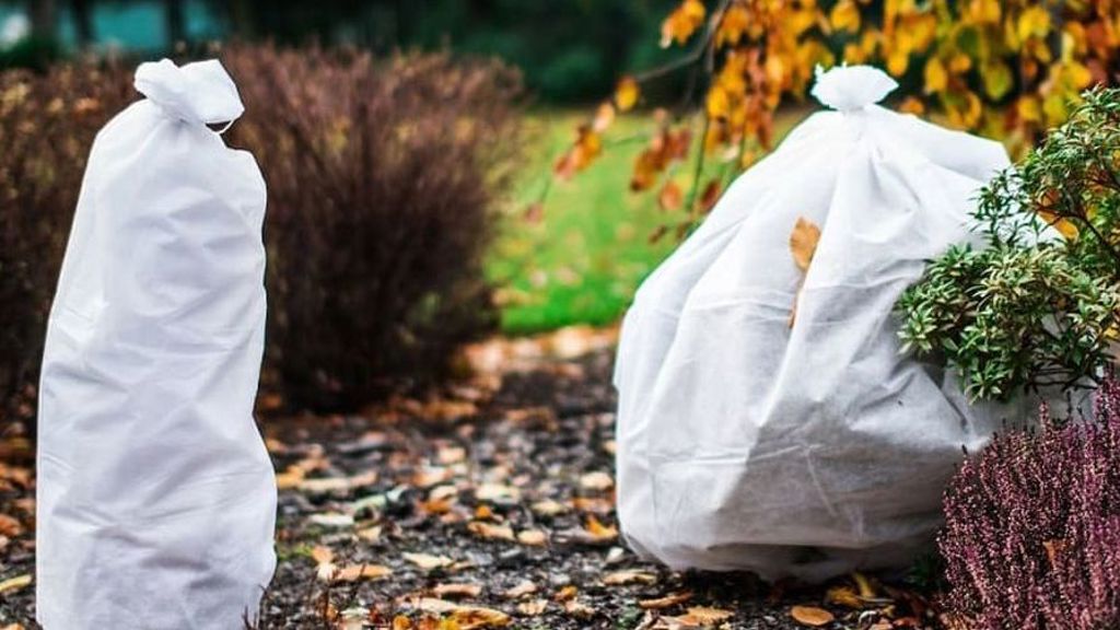 Nenechávejte choulostivé rostliny napospas mrazu. Můžete je přikrýt nebo obléknout Nenechávejte choulostivé rostliny napospas mrazu. Můžete je přikrýt nebo obléknout