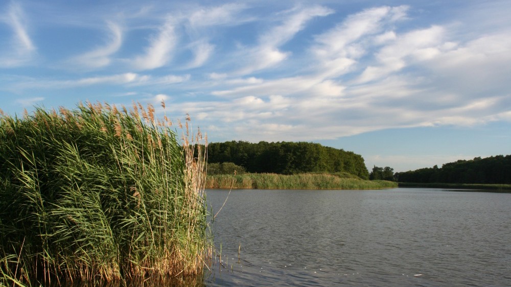 Cyklovýlet