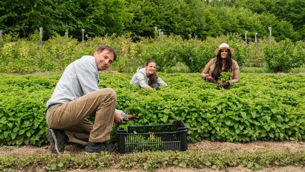 farma květomluva farma květomluva