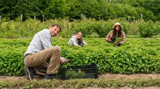 Bylinná farma Květomluva může být ekologickým projektem roku: Podpořit ji nyní můžete i vy