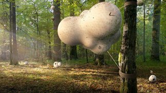 Cocoon Treehouse byl navržen pro zámek Vibrac ve Francii Cocoon Treehouse byl navržen pro zámek Vibrac ve Francii