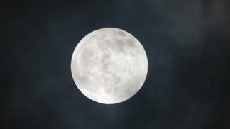 Horoskop