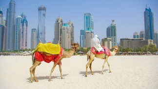 Cestovatelský deník Dominiky B. - Nej Dubaj