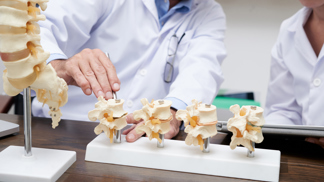 Slabé kosti nejsou osud. Osteoporóze a zlomeninám lze předejít i jídlem, radí lékař. A nejsou to jen mléčné výrobky