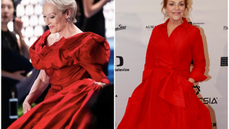 Dagmar Havlová, Meryl Streep